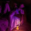 Vanderslice - @vanderslice_ - TikTok