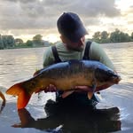 Tim van Elk - @timvanelk - Instagram
