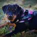 Timothy Van Fossen - Facebook