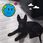 Timothy Vanhook - @timothyvanhook6 - Instagram