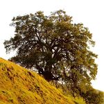 Tim Van Horn - @tvh_photos - Instagram