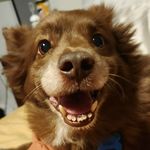 Tim Varchetto - @timvarchettojr - Instagram