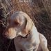Tim Vistine - Facebook