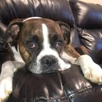 Tim Vaughn - @tim.vaughn.2805 - Instagram