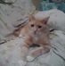Timothy L Veres - Facebook