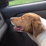 Tim Verner - @hilltopcamptx - Instagram