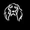 tim.vernon.store - @tim.vernon.store - TikTok