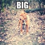 Tim Ginaromarley Verschuren - @timbooslicee28 - Instagram