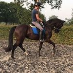 Tim Verschuren - @verschurentim - Instagram