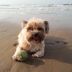 Tim Verschuren - @timverschuren22 - Instagram
