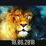 ВеСеЛыЙ - @veselyl_tim - Instagram