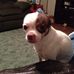 Tim Viands - Facebook