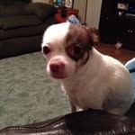 Tim Viands - @tim.viands - Instagram