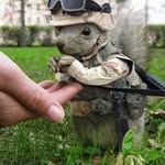 Tim Vickers - @timvickers5 - Instagram