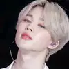 bark jimin___♡ - @vidatim - TikTok