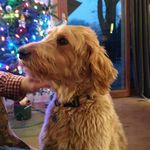 Tim Vierling - @timmyv77698 - Instagram