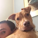 Tim Vigneau - @timvigneau - Instagram