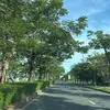 Tim Vitou - @tim.vitou - TikTok
