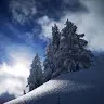 Tim Voigt - @tim.voigt_ - TikTok