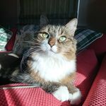 Tim Waite - @telwap802 - Instagram