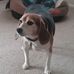 Tim Walling - Facebook