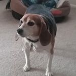 Tim Walling - @timwalling64 - Instagram