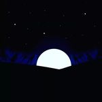 Tim Wanner - @wannertim.prvt - Instagram