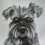 Tim - @warfieldtim - Instagram
