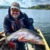 Tim Wellman655 - @timwellman655 - TikTok