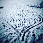 Tim Wendl - @bommelente - Instagram