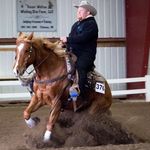Tim Wentz - @wentzperfhorses - Instagram