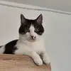 timwenzel88 - @timwenzel88 - TikTok