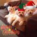 Tim Wheeldon - Facebook