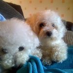 Tim Wheeldon - @tim.wheeldon.54 - Instagram