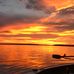 Tim Wheeler - Facebook