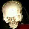 Tim Whitt - @tim.whitt - TikTok