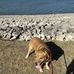 Tim Whitten - Facebook