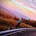 Timmy Wickline - Facebook