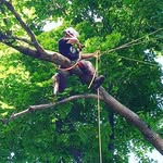 Tim Wilber - @wilberbangbang - Instagram