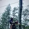 Wilberbangbang - @timwilber23 - TikTok