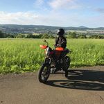 Tim Wilhelm - @tinyduketim - Instagram