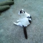 Tim Wilkerson - @timwilkerson19 - Instagram