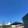 Tim Wilson - @timwilson9 - TikTok