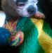 Tim Winchell - Facebook