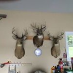 Tim Winchester - @timwinchester20 - Instagram
