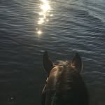 Tim Winderickx - @timwinderickx - Instagram