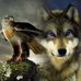 Tim Windham - Facebook