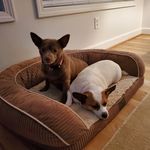 Shelly Winfrey - @timothy.winfrey - Instagram