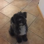 tim_winkelman - @tim_winkelman - Instagram