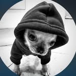 Tim - @tim_winkler1 - Instagram